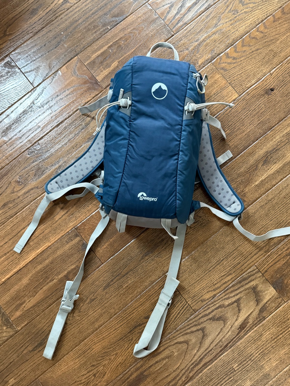 LowePro Flip Side 10L AW - camera backpack
